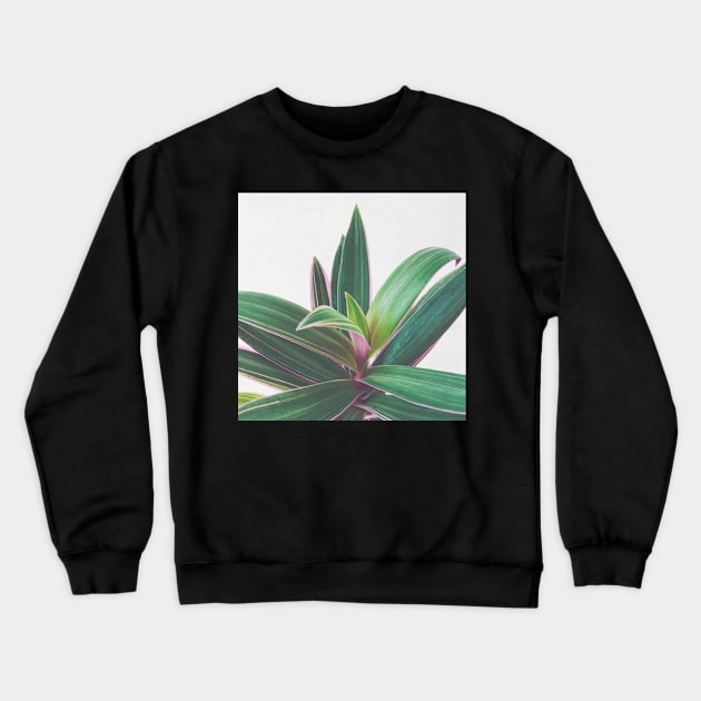 Oyster Plant Crewneck Sweatshirt by Cassia